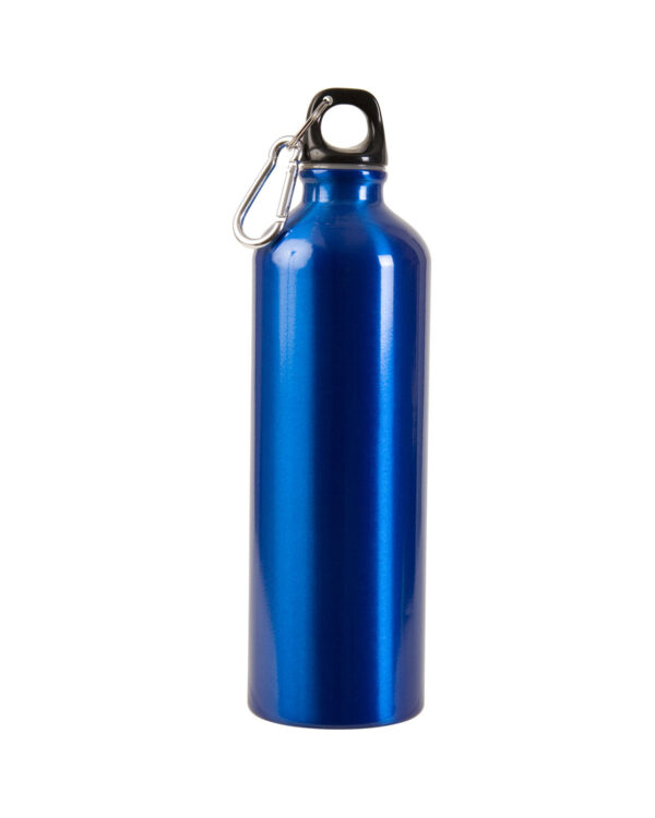 Custom aluminum water bottle with carabiner, 25 oz, perfect for promotions