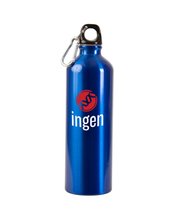 Lightweight 25 oz aluminum water bottle with personalized logo and carabiner