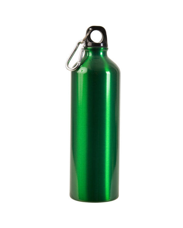 Durable custom aluminum bottle with carabiner for outdoor events and corporate branding