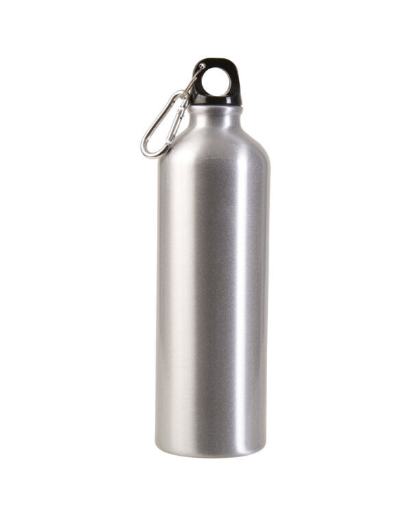 Custom aluminum water bottle with carabiner, 25 oz, perfect for promotion