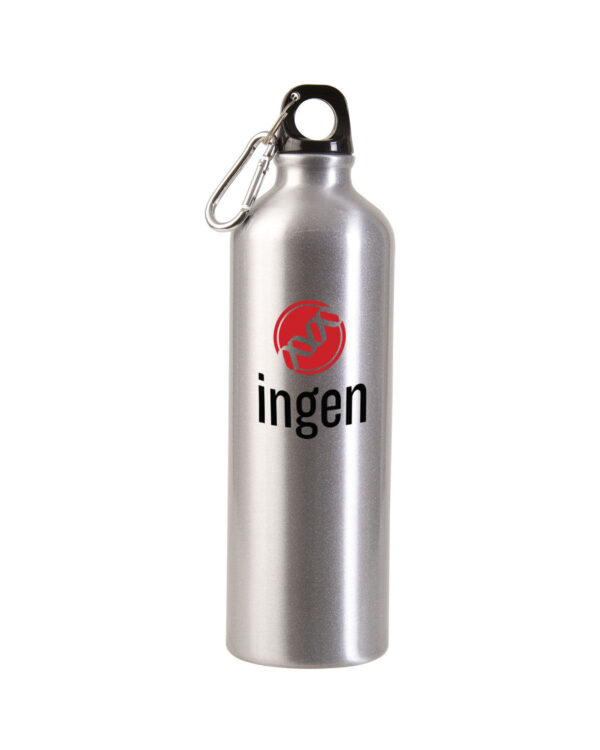 Lightweight 25 oz aluminum water bottle with personalized logo and carabiner