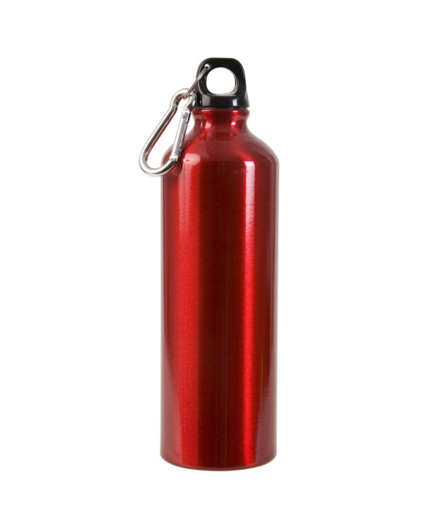 Custom aluminum water bottle with carabiner, 25 oz, perfect for promotions