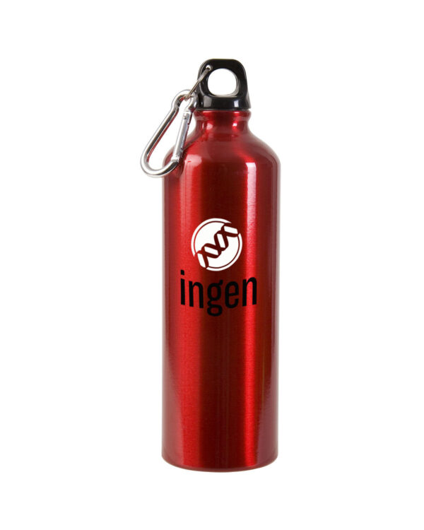 Durable custom aluminum bottle with carabiner for outdoor events and corporate branding